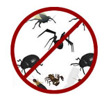 controle-de-pragas-em-Osasco