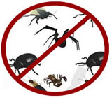 dedetizadora-no-Capão Redondo