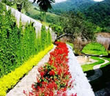 paisagismo-no-Capão Redondo