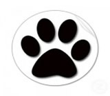 pet-shops-no-Capão Redondo