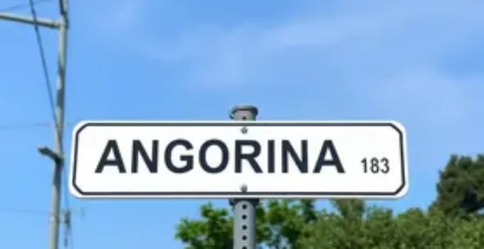 Av. Andorinha dos Beirais, 500
