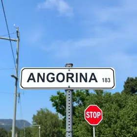 Av. Andorinha dos Beirais, 500