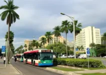Avenida João Dias 2841 para Jardim Ângela de transporte público