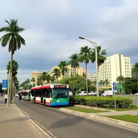 Avenida João Dias 2841 para Jardim Ângela de transporte público