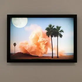 exposição DISSÍPIA