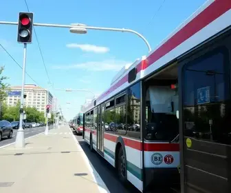 gratuidade no transporte