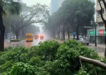 temporal em São Paulo