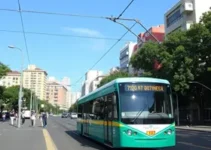 Linha 17-Ouro