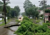 temporal em São Paulo