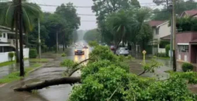 temporal em São Paulo